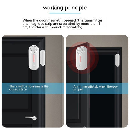 WiFi Door Magnetic Sensor Alarm