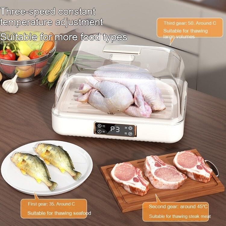 Constant Temperature Thawing Artifact Meat Steak Heat Transfer Plate Household